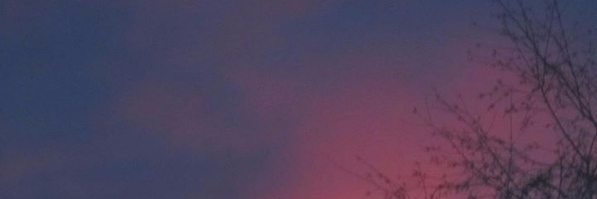 die_falknerin's profile banner image