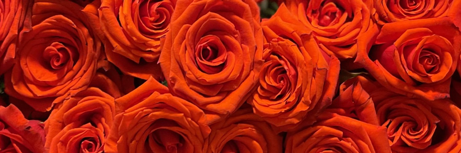 MsJennings92's profile banner image