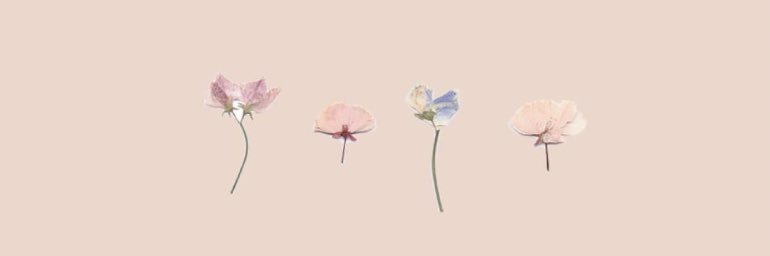 haleyyyk's profile banner image