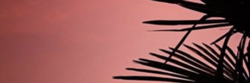 morgane_hardy's profile banner image