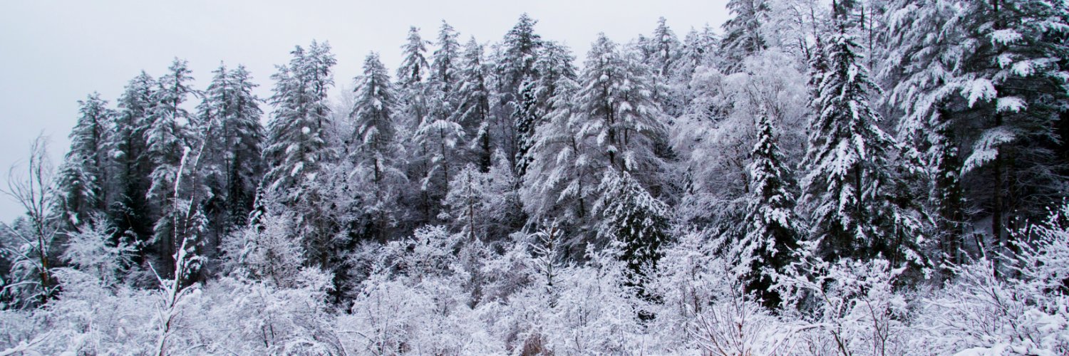TNCvermont's profile banner image