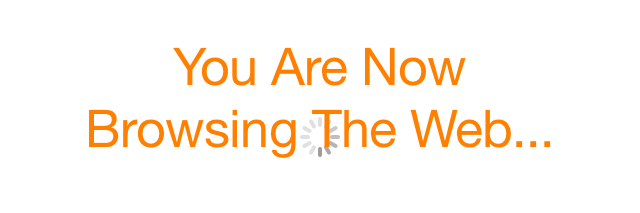 Nudibranch Boomtown banner