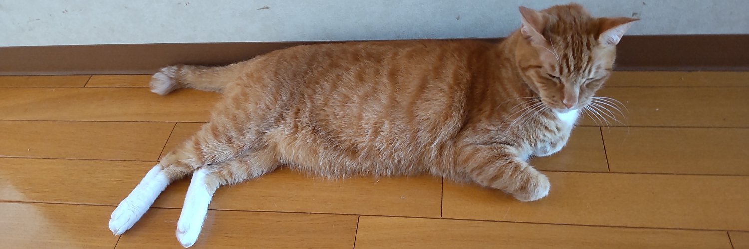 黒猫卿@惰眠 banner