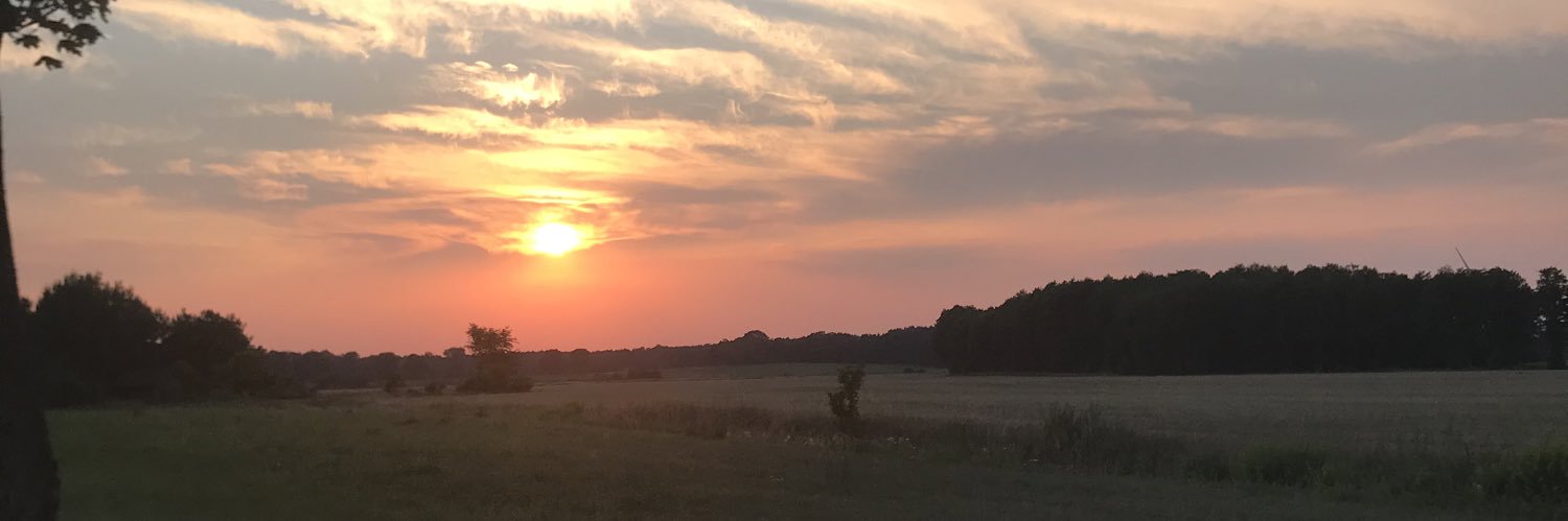 rhetorik's profile banner image