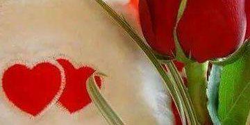 57ea0b7deeb345d's profile banner image