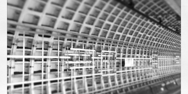 chat_au_lit's profile banner image