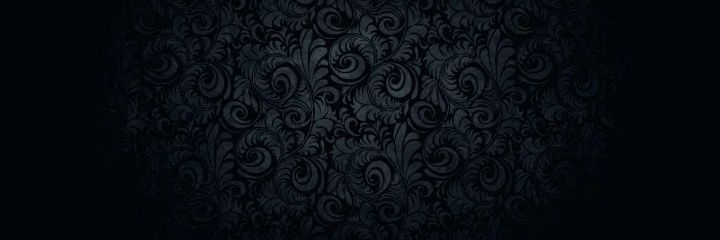 warriorpinup's profile banner image
