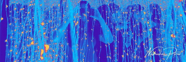 NashPresent Profile Banner