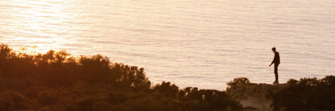 lpassarelli10's profile banner image