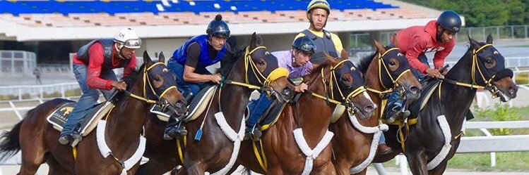 samanescancha's profile banner image