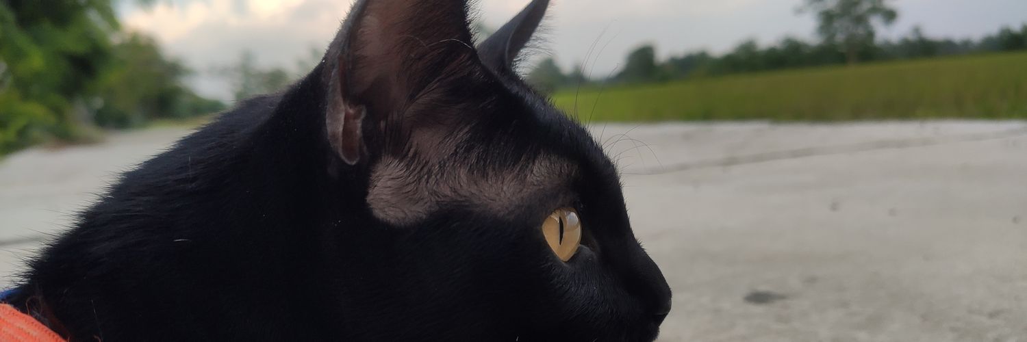 joyprm's profile banner image