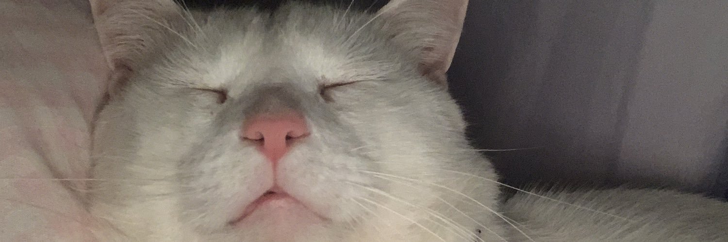 _Brendinha1's profile banner image