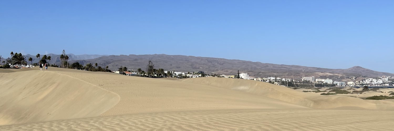 Claudiu Andrei banner