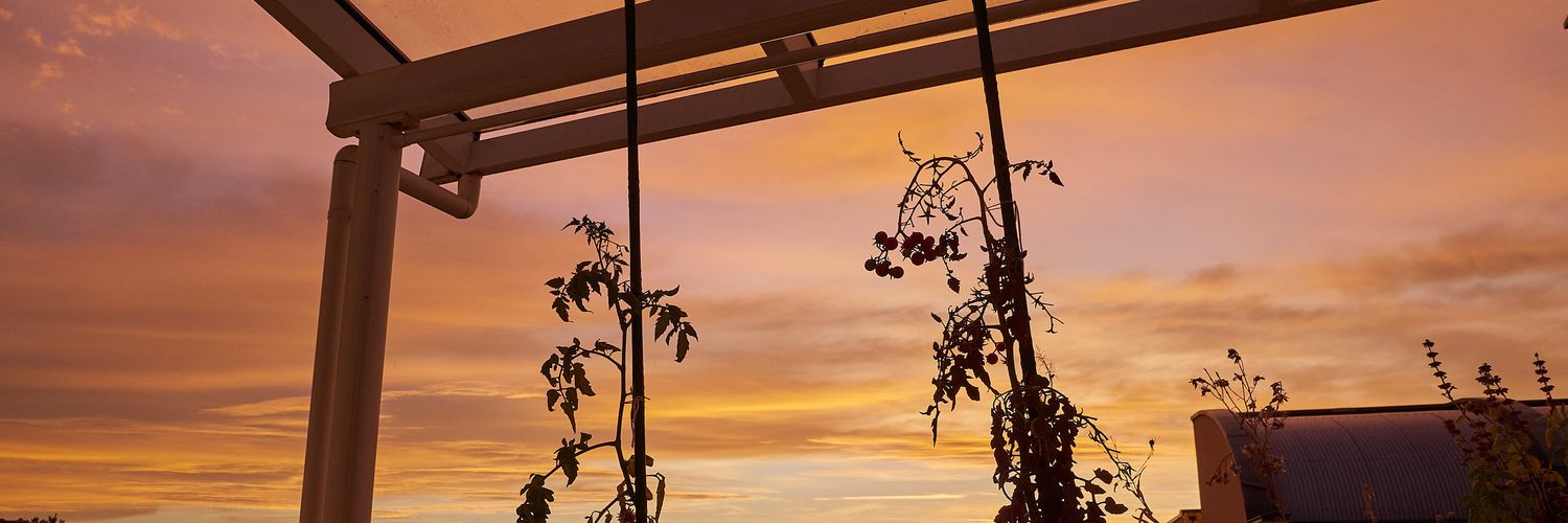 DeGePhotos's profile banner image