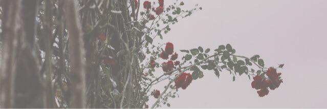 adoreOTY's profile banner image