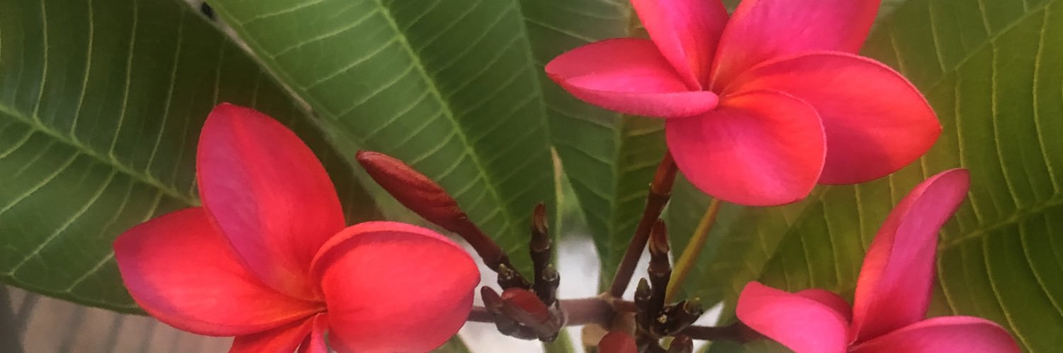 HarrellOfficial's profile banner image