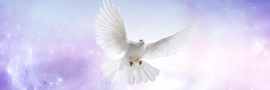 othersidepress's profile banner image
