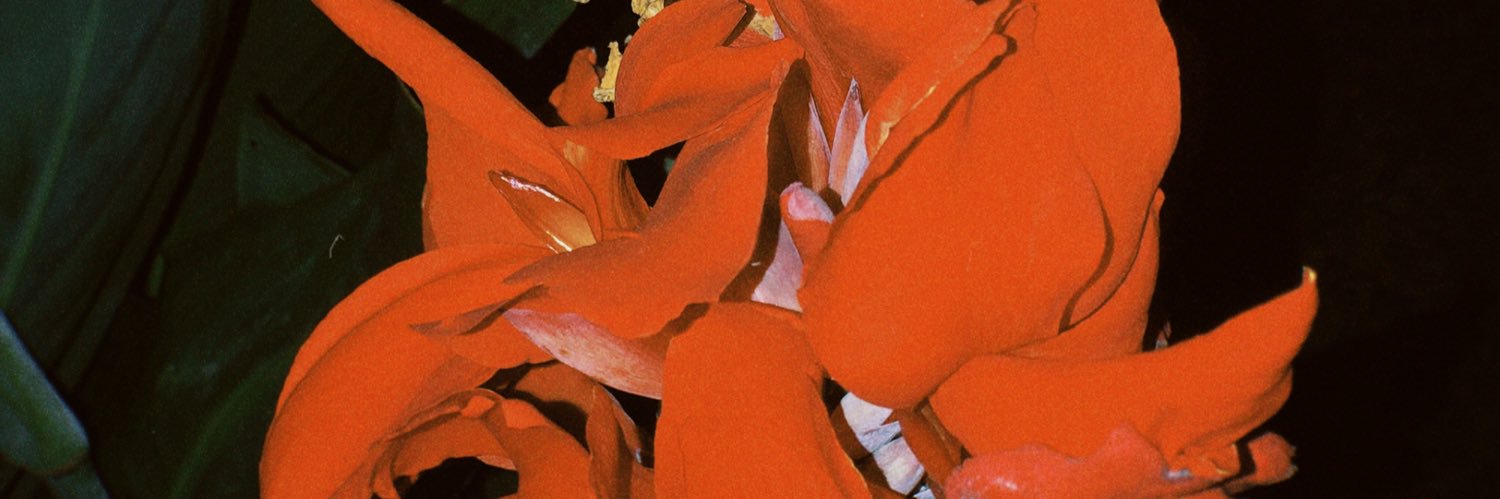 brendi014's profile banner image