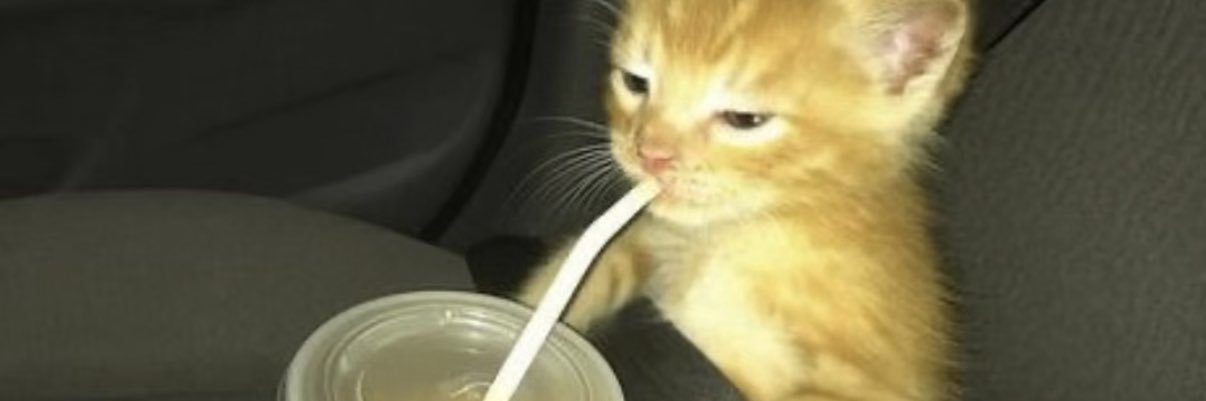 bilbreeezy's profile banner image