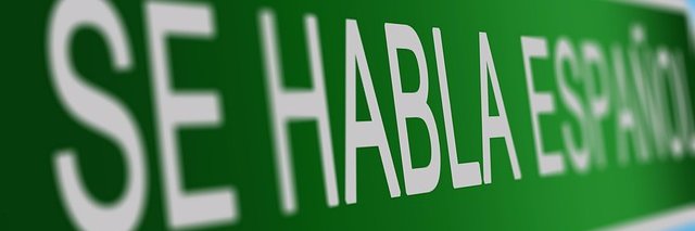 Maestra Zaragoza banner