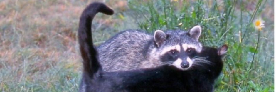 eduxaton's profile banner image