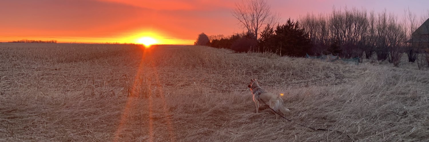 MatySkinner's profile banner image