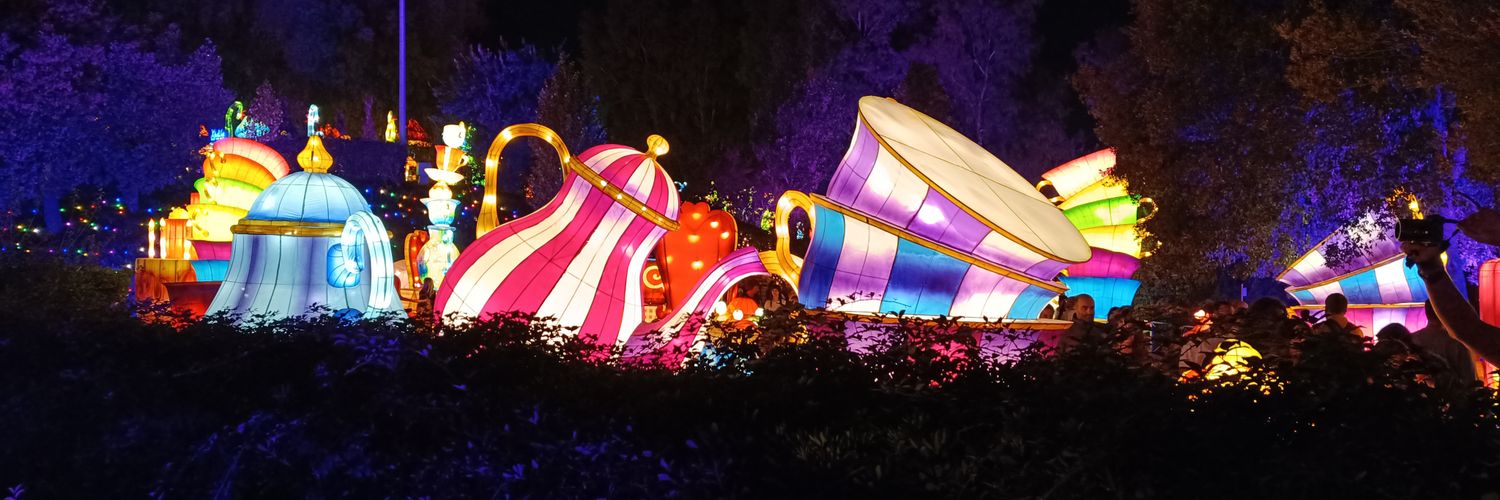 morellitas's profile banner image