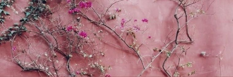 KarlaHP_'s profile banner image