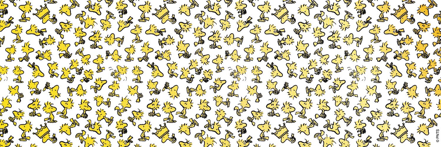 WoodStock_dude's profile banner image