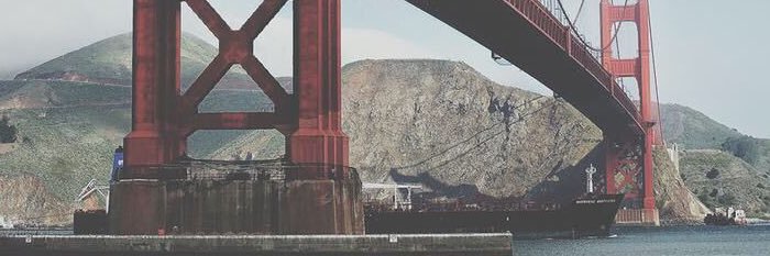 Shaggmeout banner