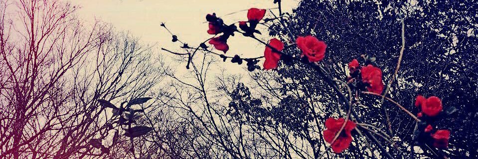 c_rockwork1986's profile banner image