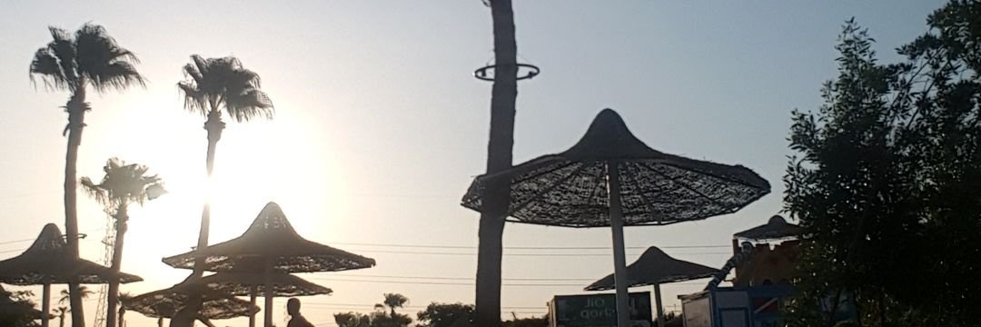 _______Aisha's profile banner image