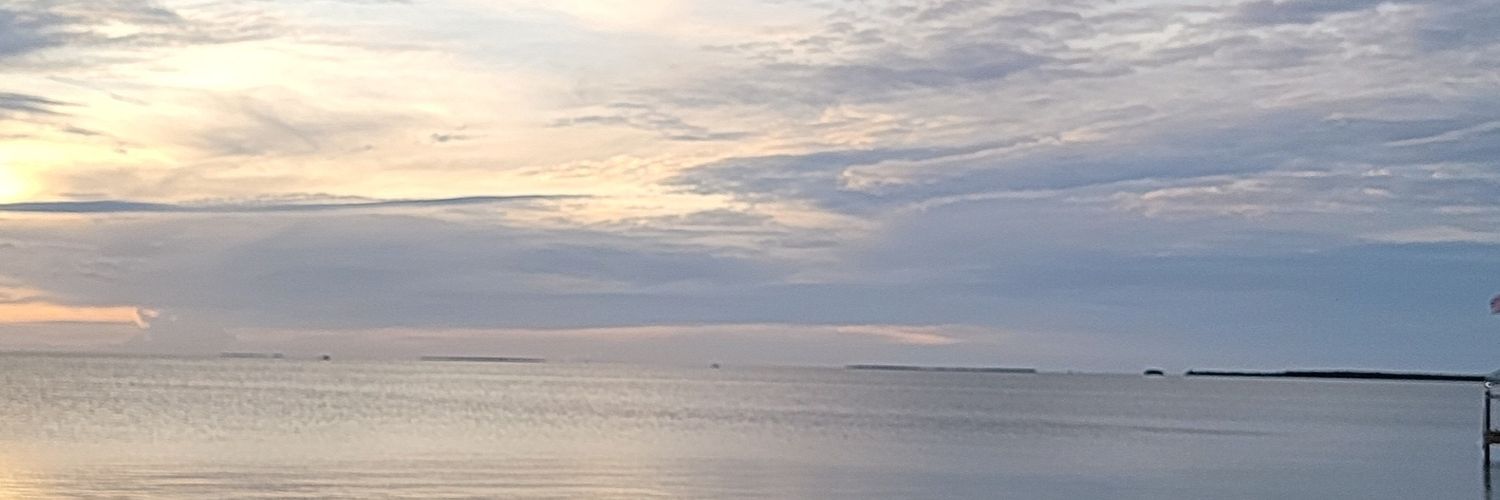 DivaFLorida's profile banner image
