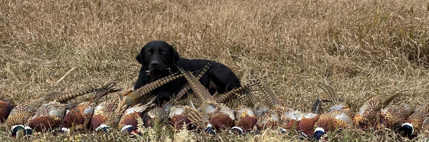khawkinson22's profile banner image