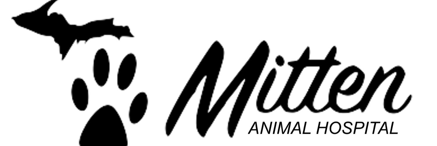 MittenVet's profile banner image