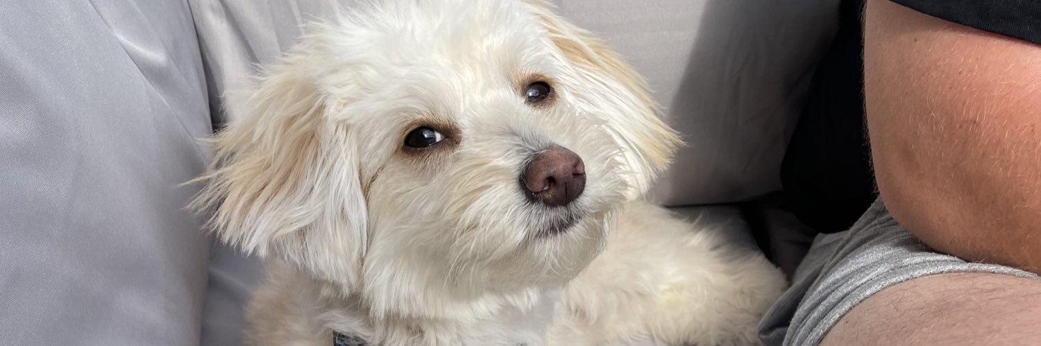 jadefranks95's profile banner image