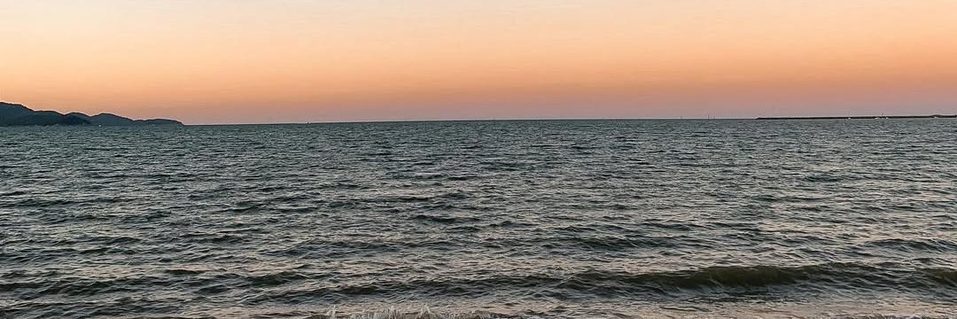 ASSFD14K's profile banner image