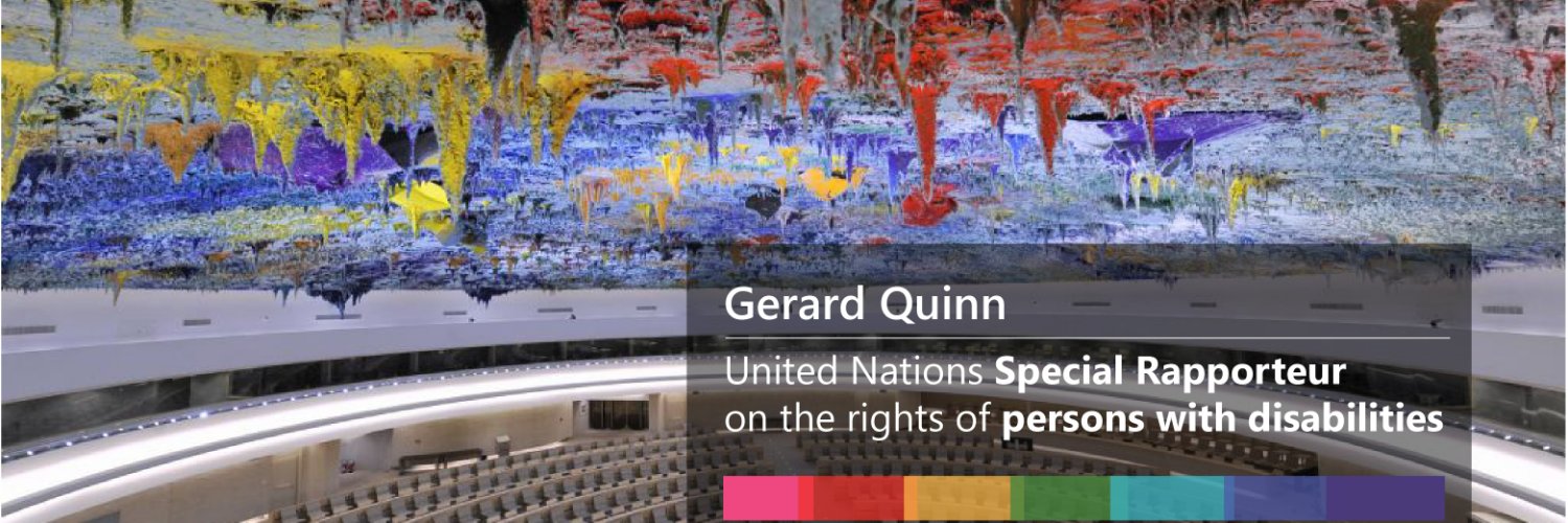 UN SR Disability Rights - G. Quinn banner