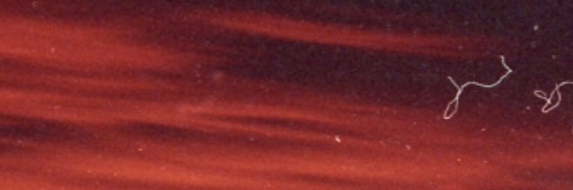 Jayy_stan's profile banner image