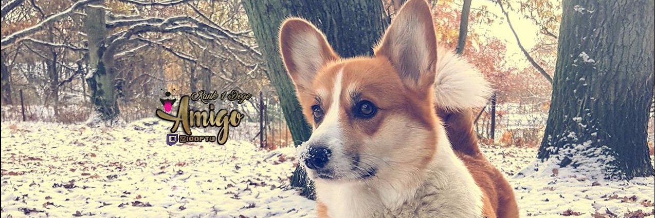 amigo_doge's profile banner image