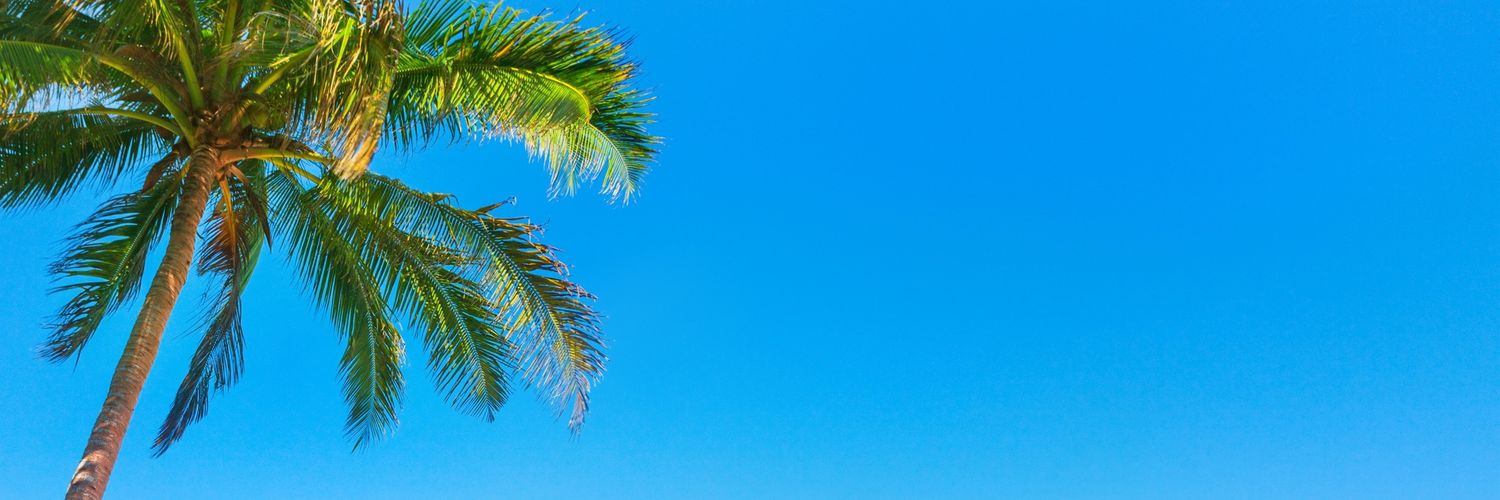 leirbagcm's profile banner image