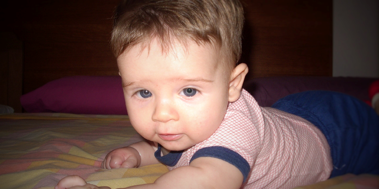 PIPP banner