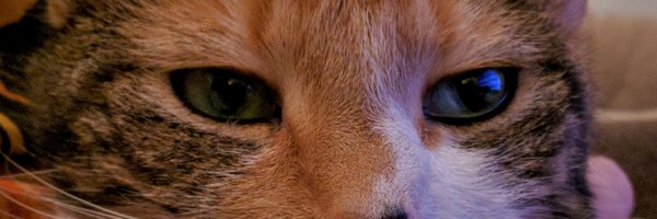 gnarlin2 Profile Banner