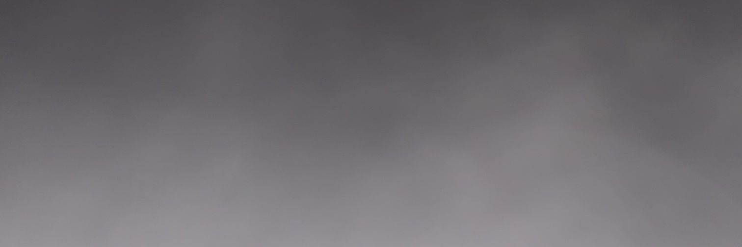 näsbrunkarn🇸🇪🇺🇦 banner