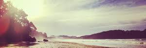 TerrificBeau's profile banner image