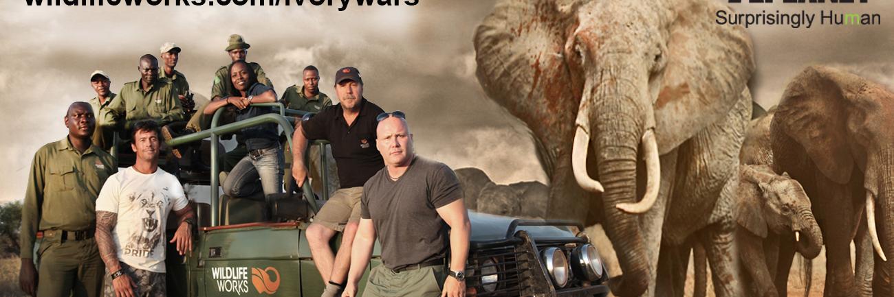 IvoryWars's profile banner image