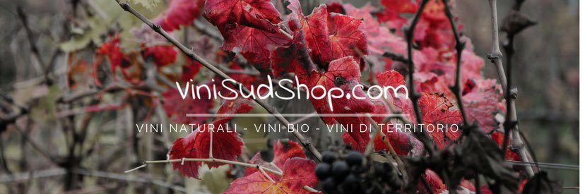 vinisudshop's profile banner image