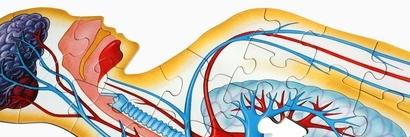 EstheticsTester's profile banner image