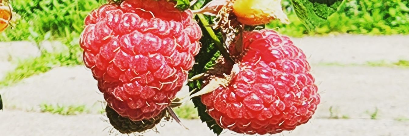 ThingsThatSmile's profile banner image