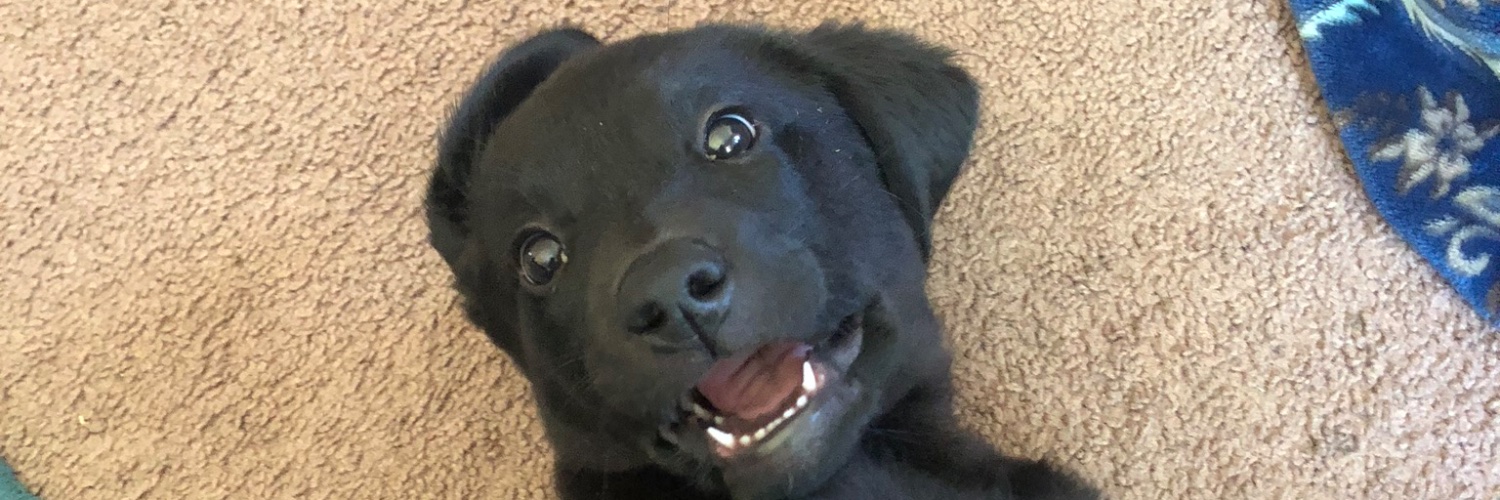 aubrie2200's profile banner image